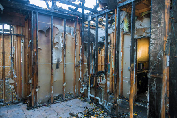 Professional Fire Damage Removal technician working in Ansonia, OH